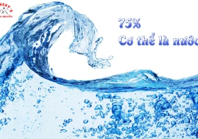 Chuẩn seo là gì ? Viết bài viết chuẩn seo trong 3 nốt nhạc 