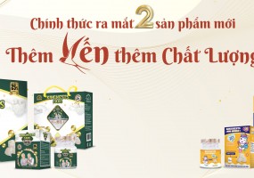 Chuẩn seo là gì ? Viết bài viết chuẩn seo trong 3 nốt nhạc